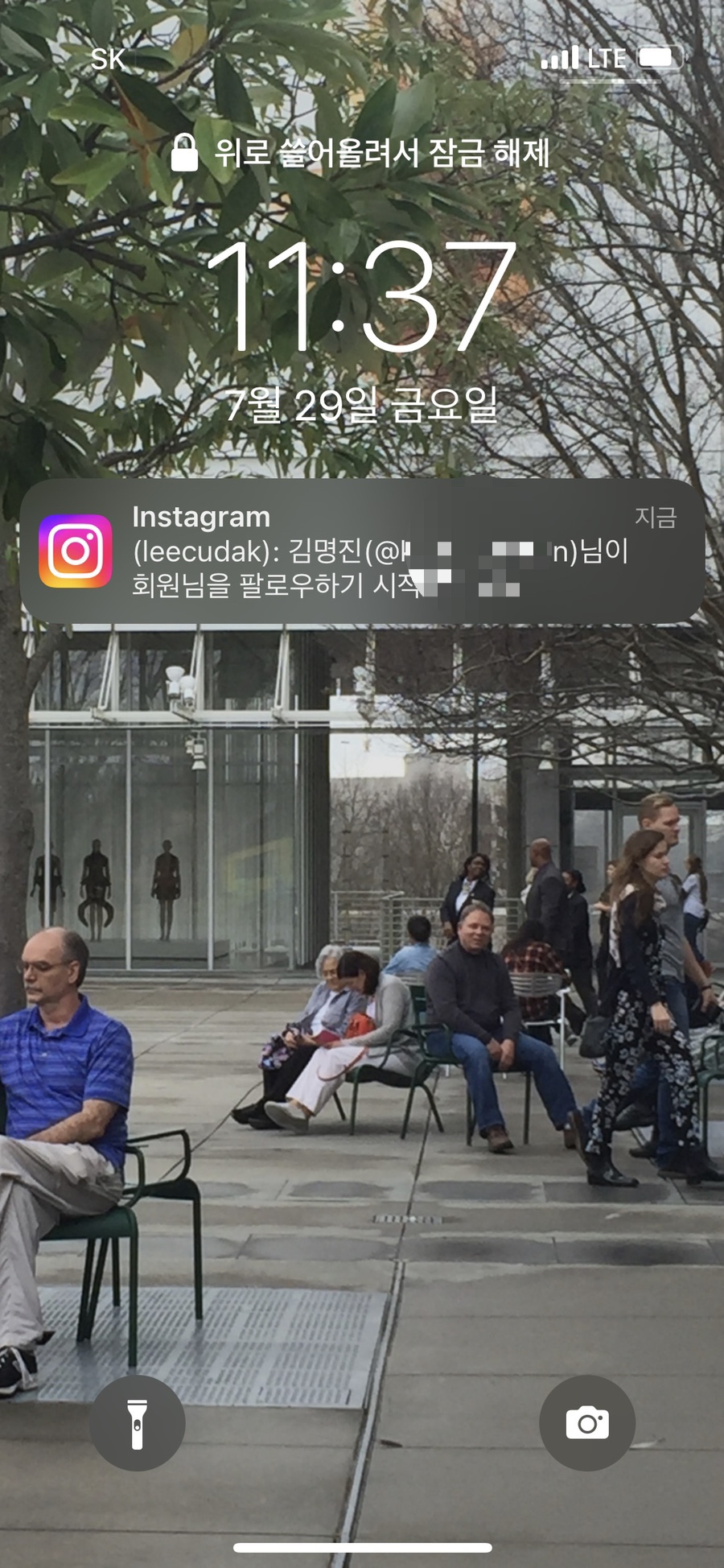 디스이즈모름 이미지
