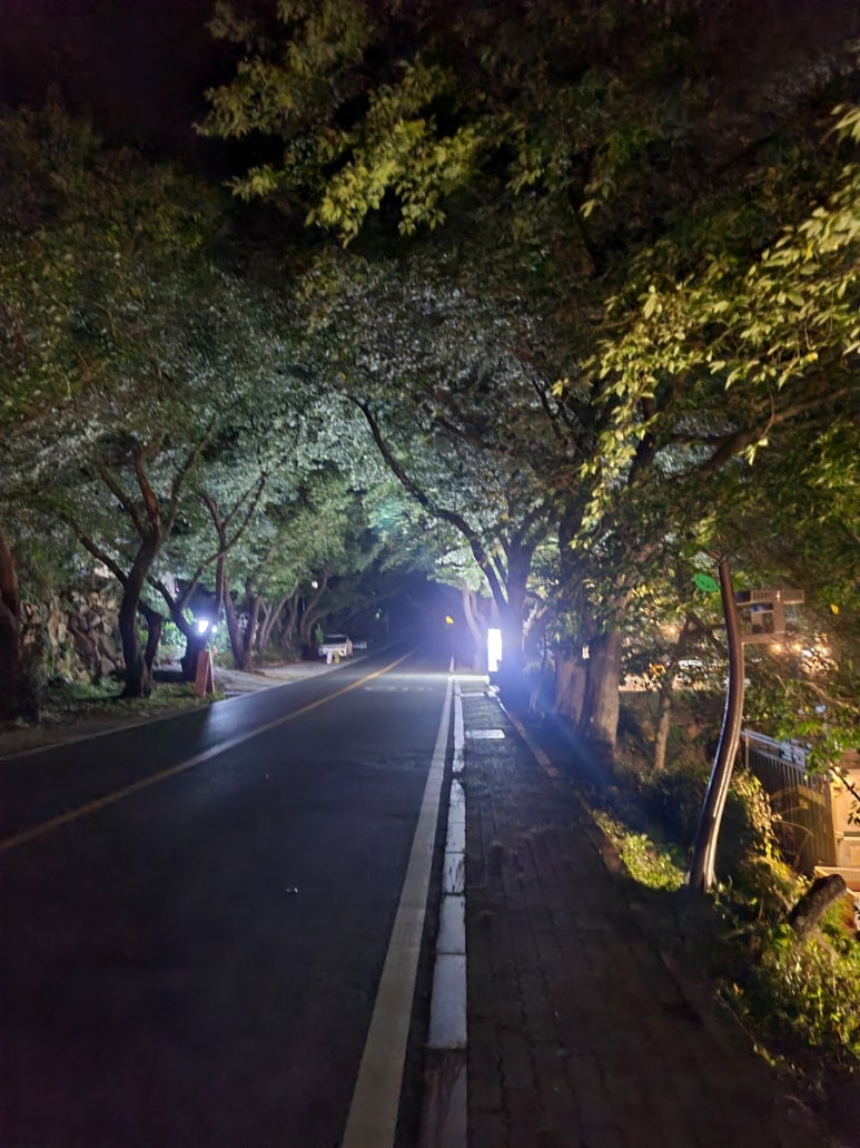 화개밸리 이미지