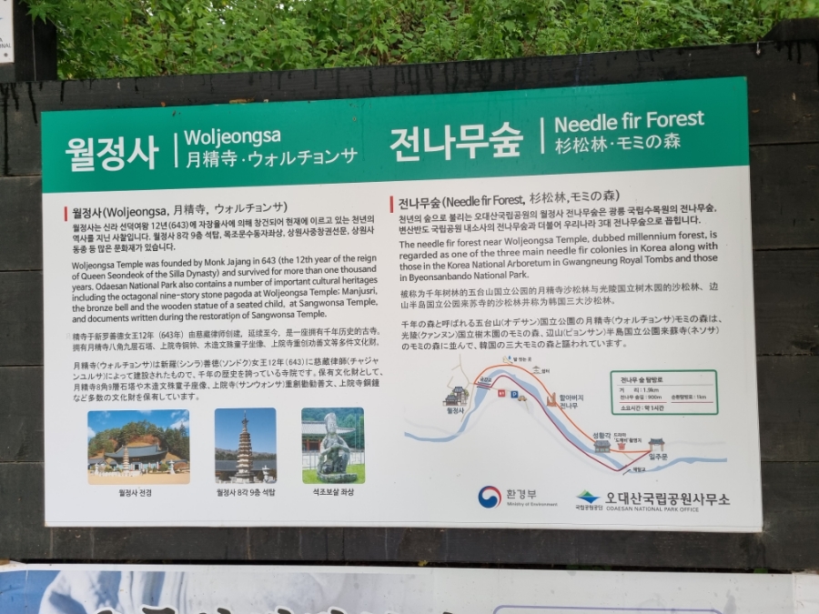 돈카스타 이미지