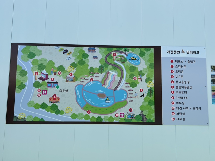 도그베이 서울점 강아지 수영장 비용 및 이용 후기 — 사진 7