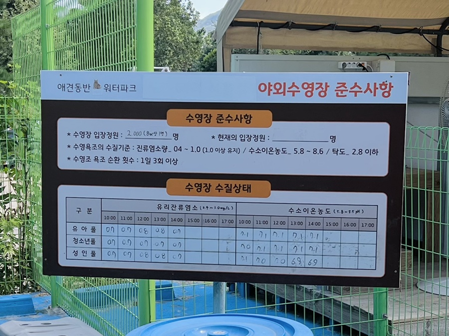 도그베이 서울점 강아지 수영장 비용 및 이용 후기 — 사진 5