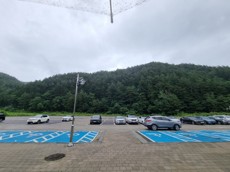 돈카스타 이미지