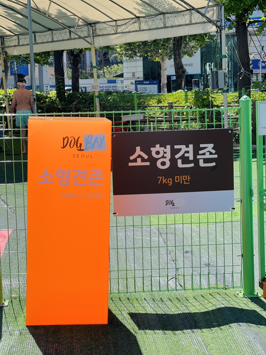 도그베이 서울점 강아지 수영장 비용 및 이용 후기 — 사진 16