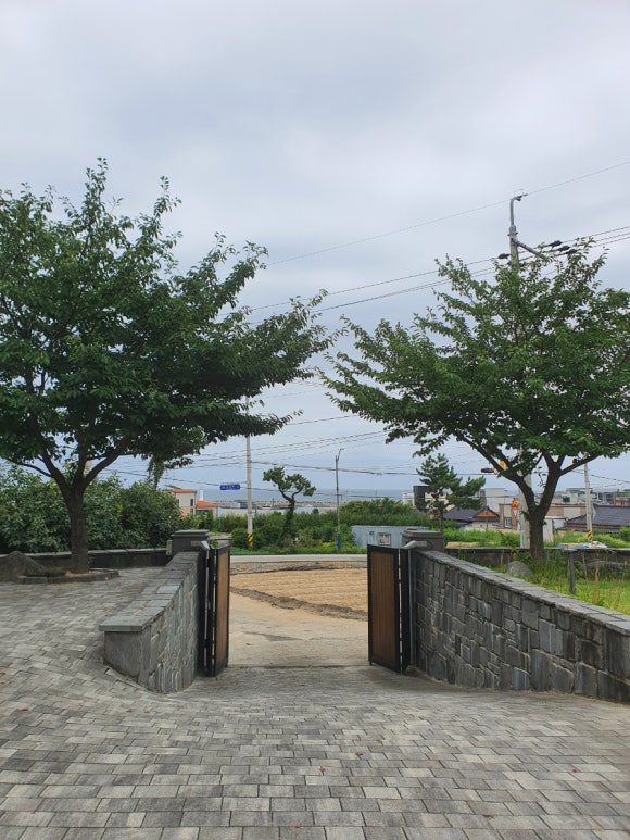 문동240 이미지