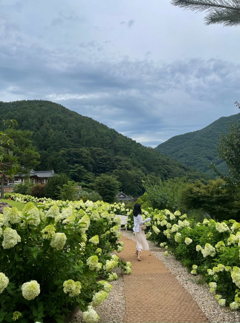 (주)야채마을 이미지