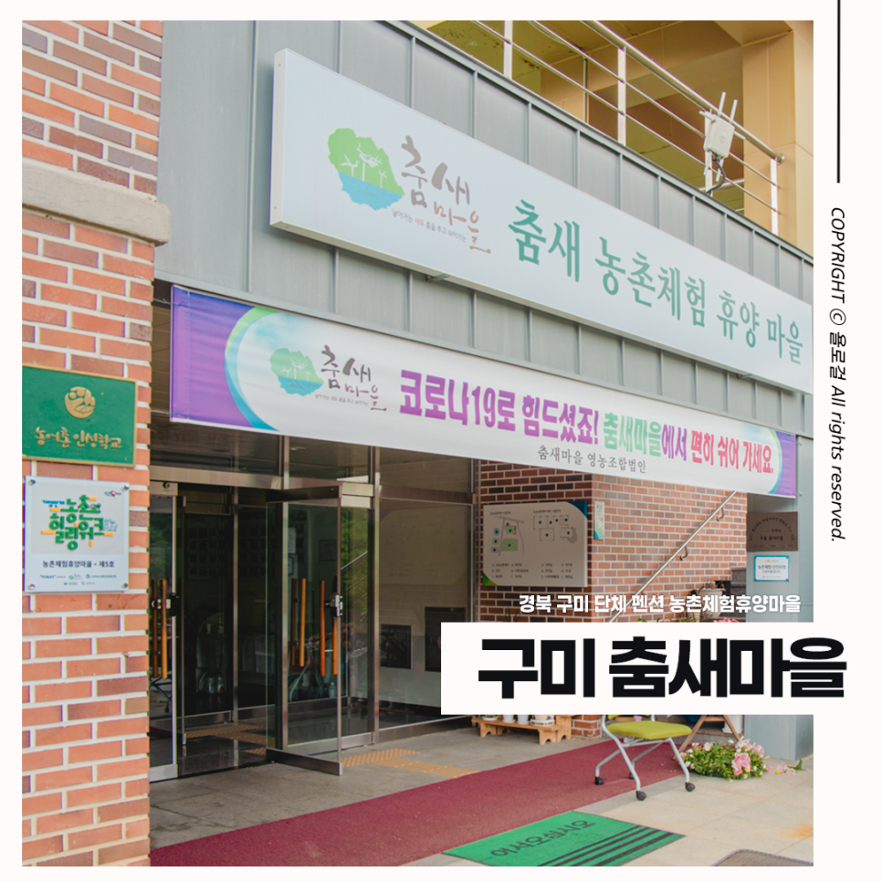 춤새마을 이미지