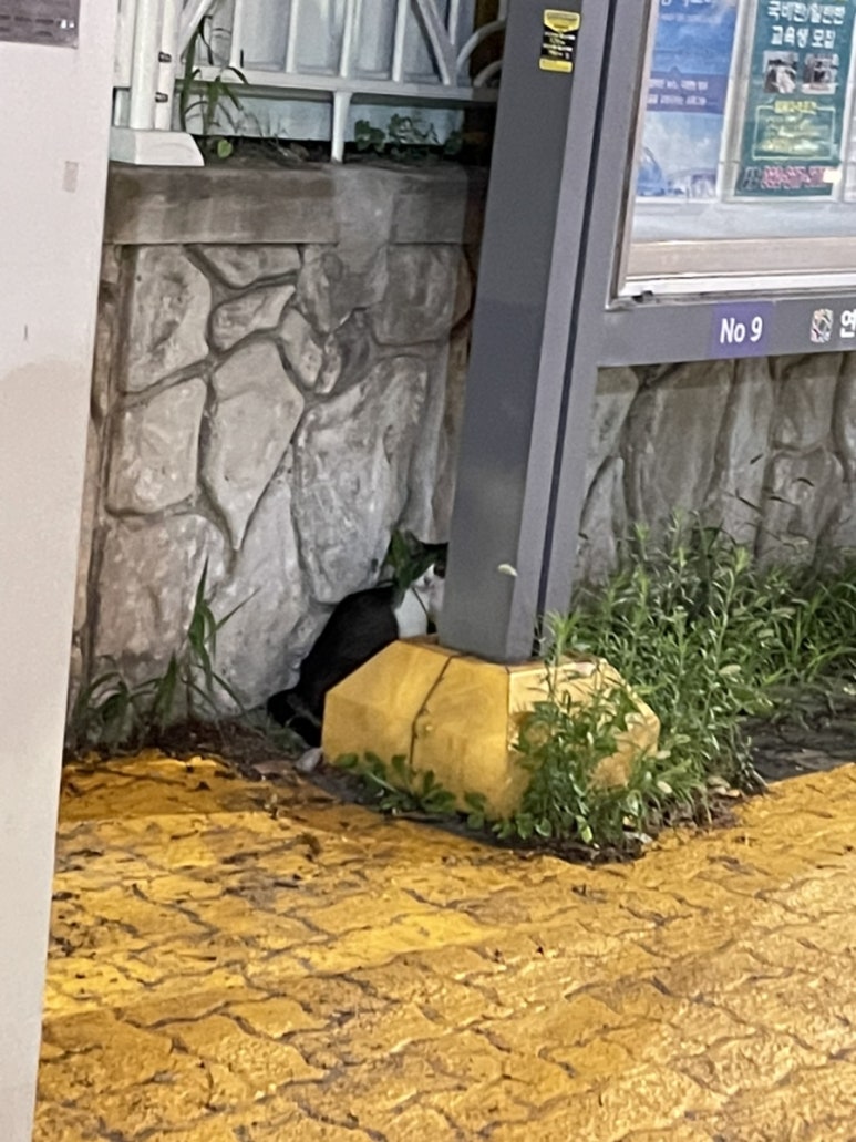 민성베이커리 이미지