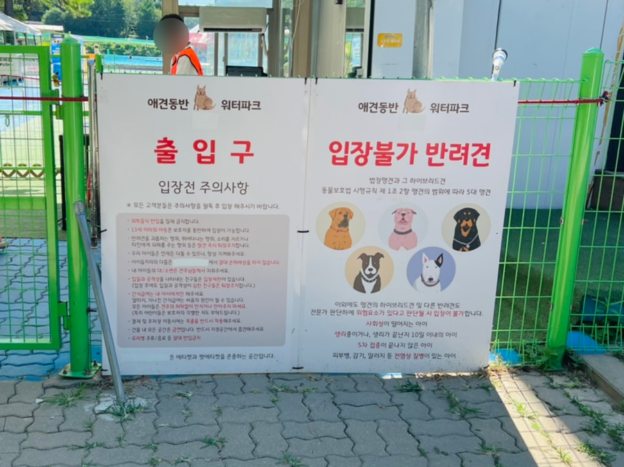 도그베이 서울점 강아지 수영장 비용 및 이용 후기 — 사진 6