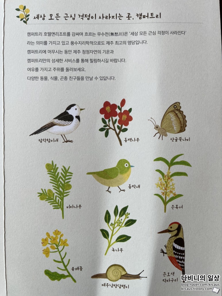 호텔캠퍼트리 이미지
