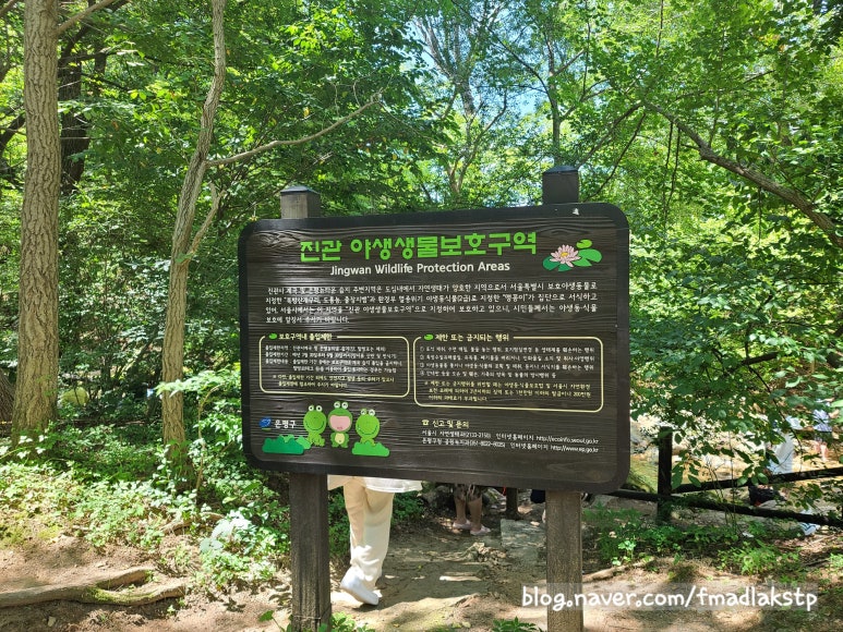 계곡막국수 이미지