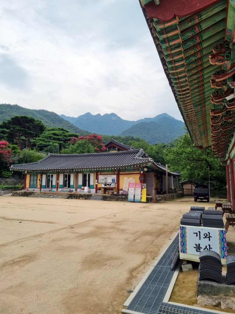 용문식당 이미지