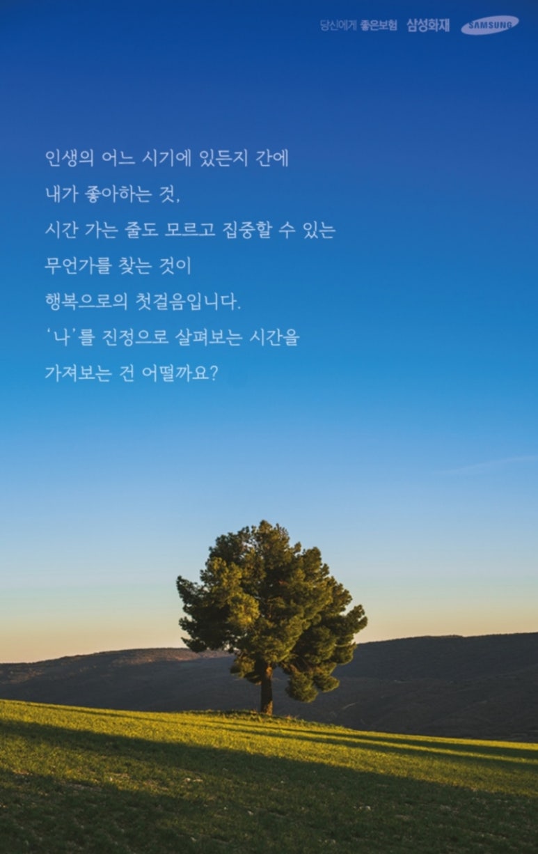 오션네트웍스 이미지