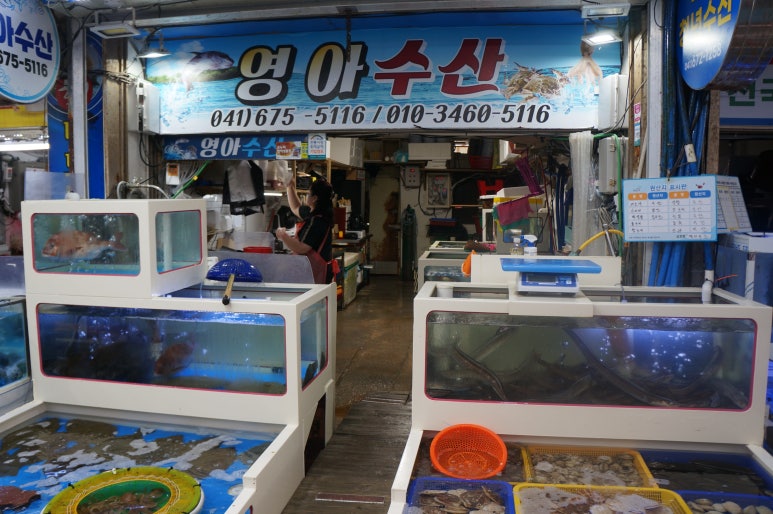영아수산 이미지