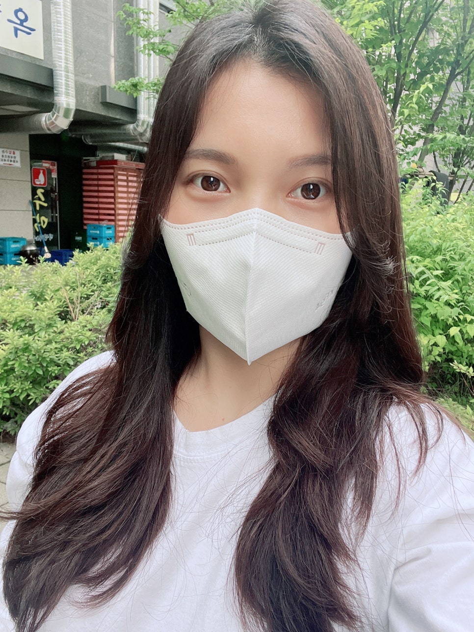 롤로안산 이미지