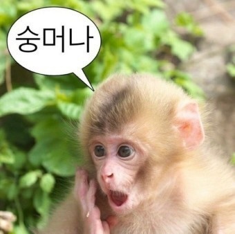 찍사유 이미지