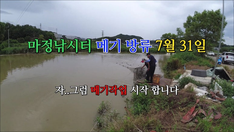 오늘은향어 이미지