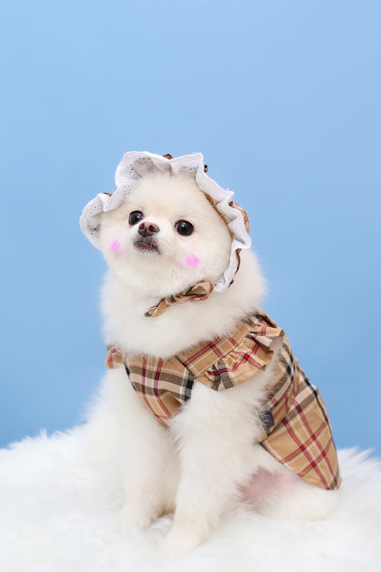 열두달사진관 이미지