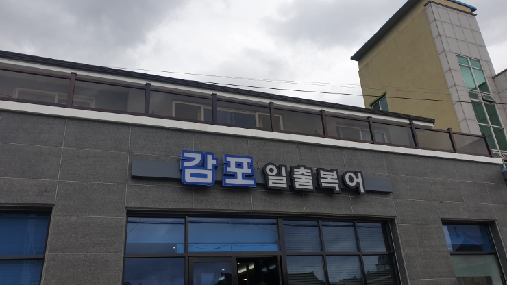 감포일출복어 이미지