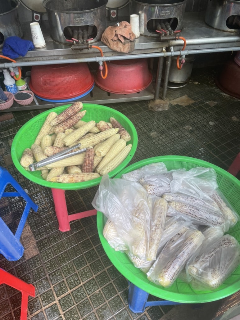 담벼락옥수수 이미지
