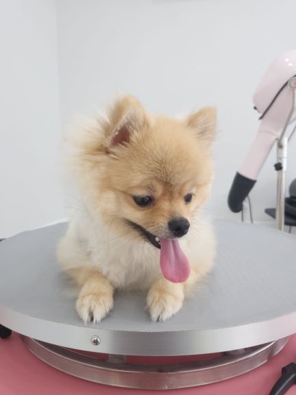 두루미컷 이미지
