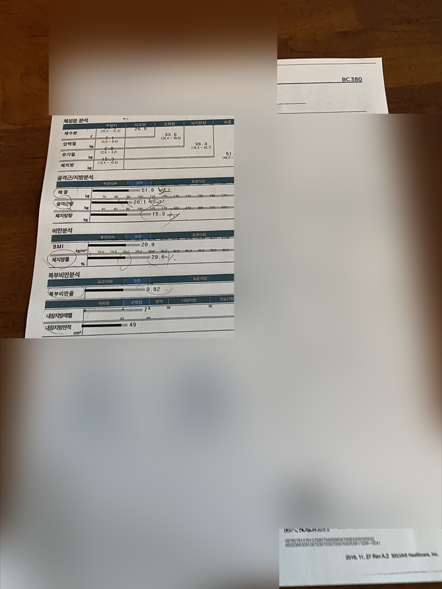 에이치디엘 이미지