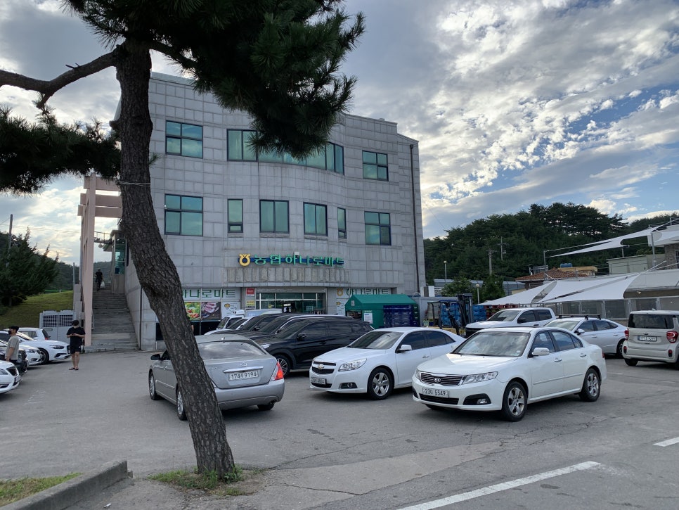 죽도고기마트 이미지