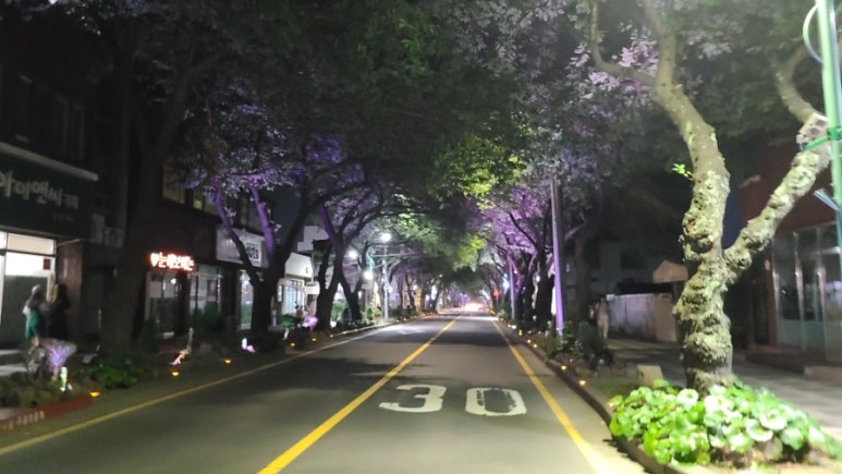 나주닭집용담점 이미지