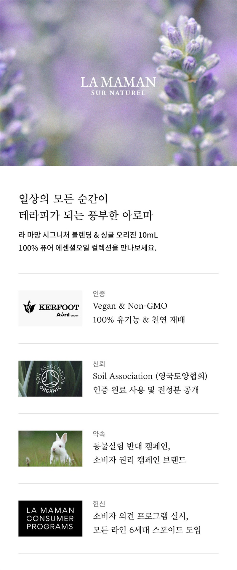 꿀아로마 이미지
