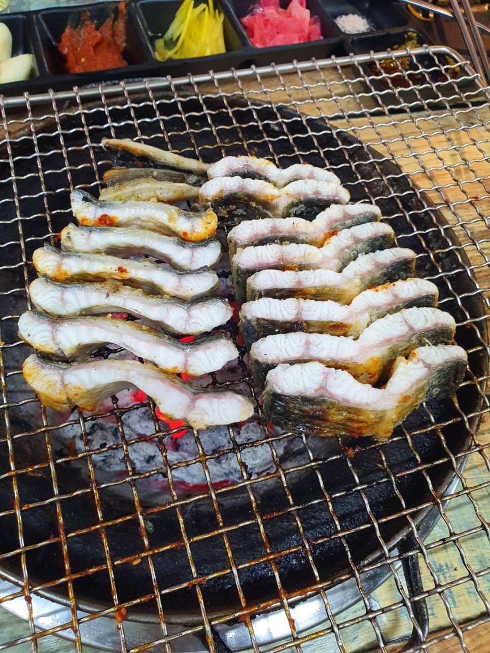 세미장어 이미지