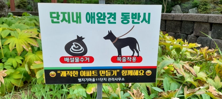 세종J피부과의원 이미지