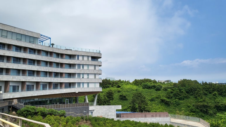 클리프박 이미지