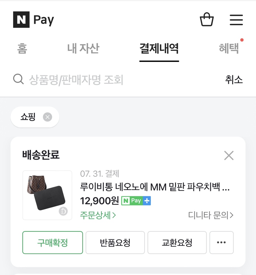 디니타 이미지