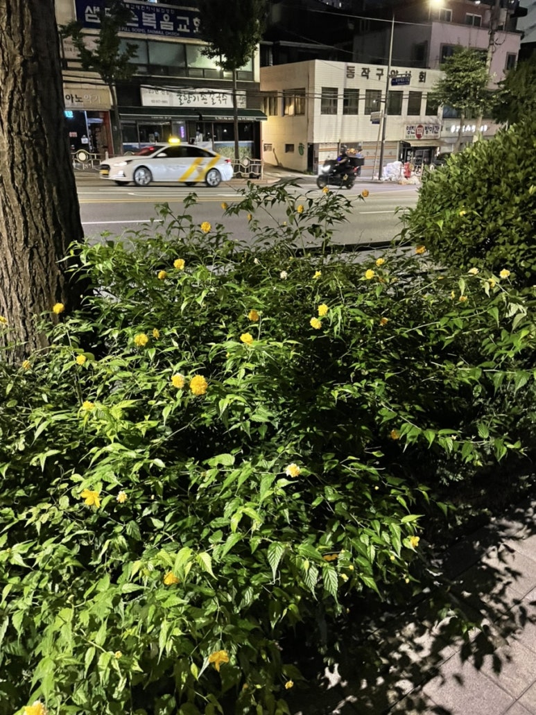 (주)에스틸 이미지