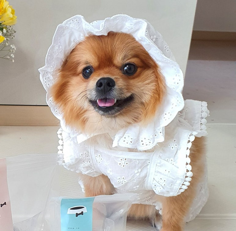 워터스윕 이미지