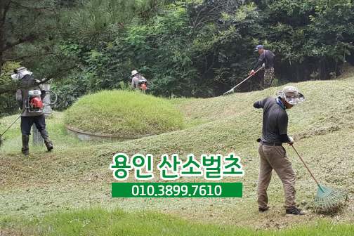 성일조경 이미지