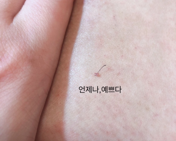 언제나;예쁘다 이미지