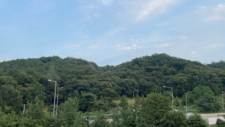 육쌈냉면민락2지구점 이미지