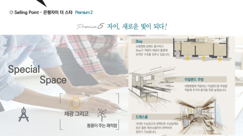 더자이온 이미지