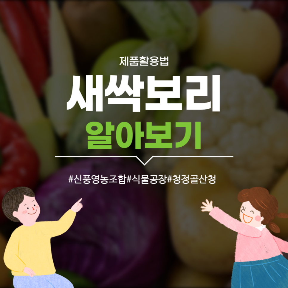 신풍영농조합법인 이미지