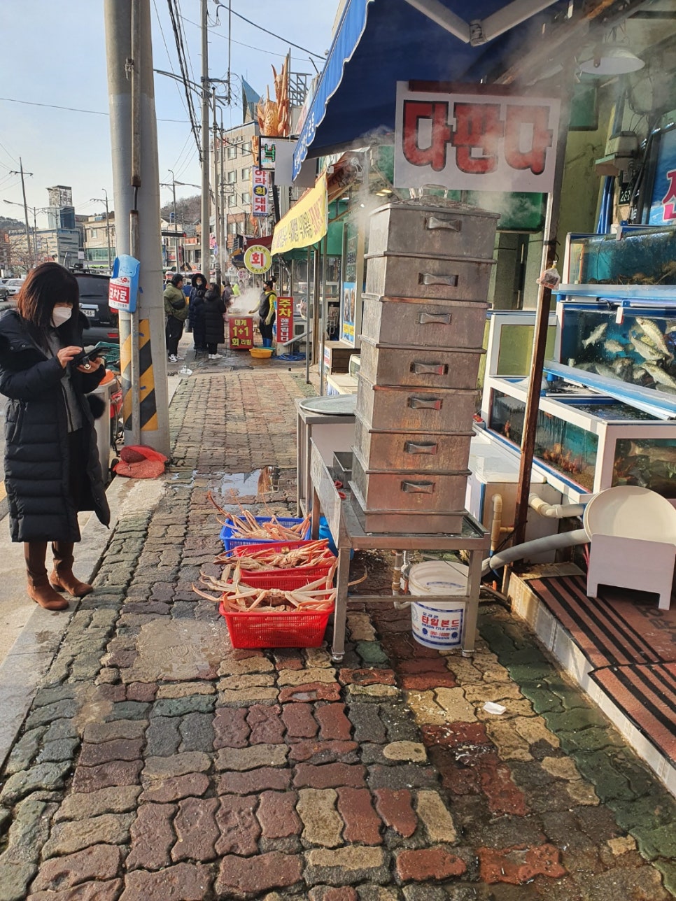 구룡포대게회 이미지