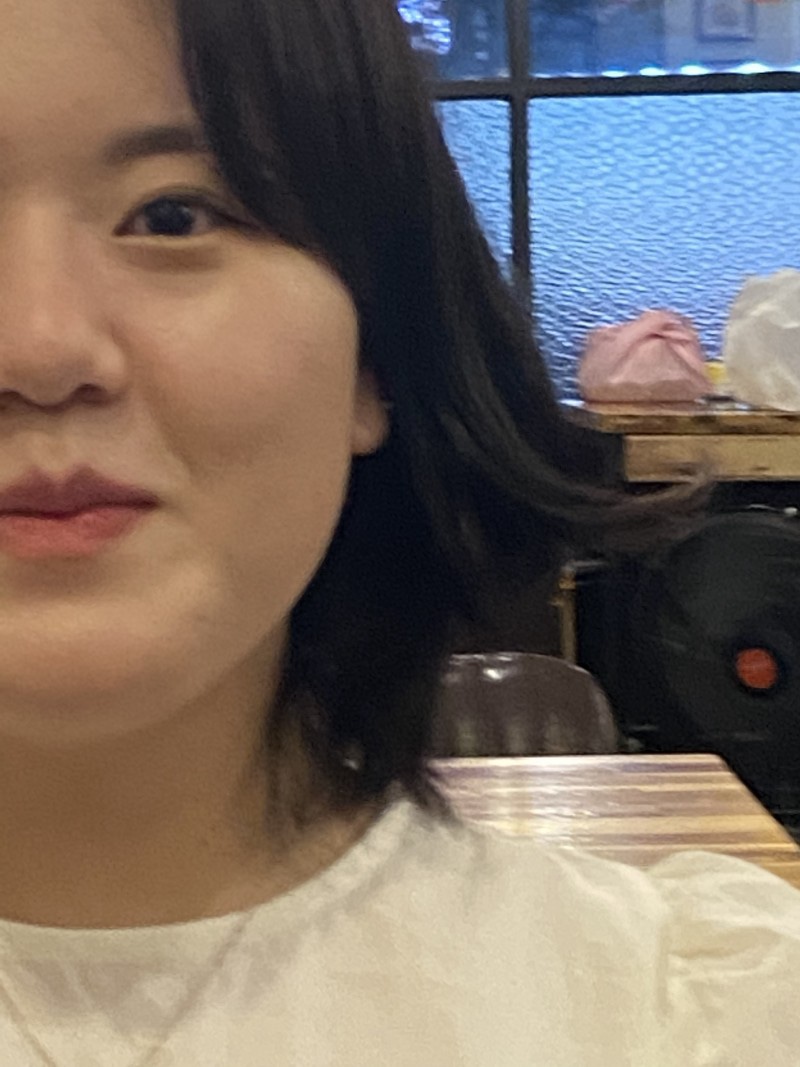 라쿤즈 이미지