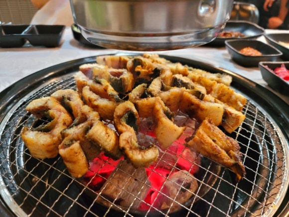 당나귀풍천장어 이미지