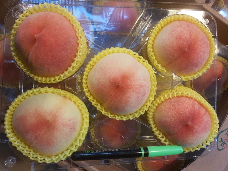 이백하우스 이미지