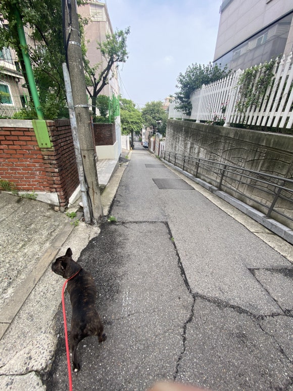 상도3배수지 이미지