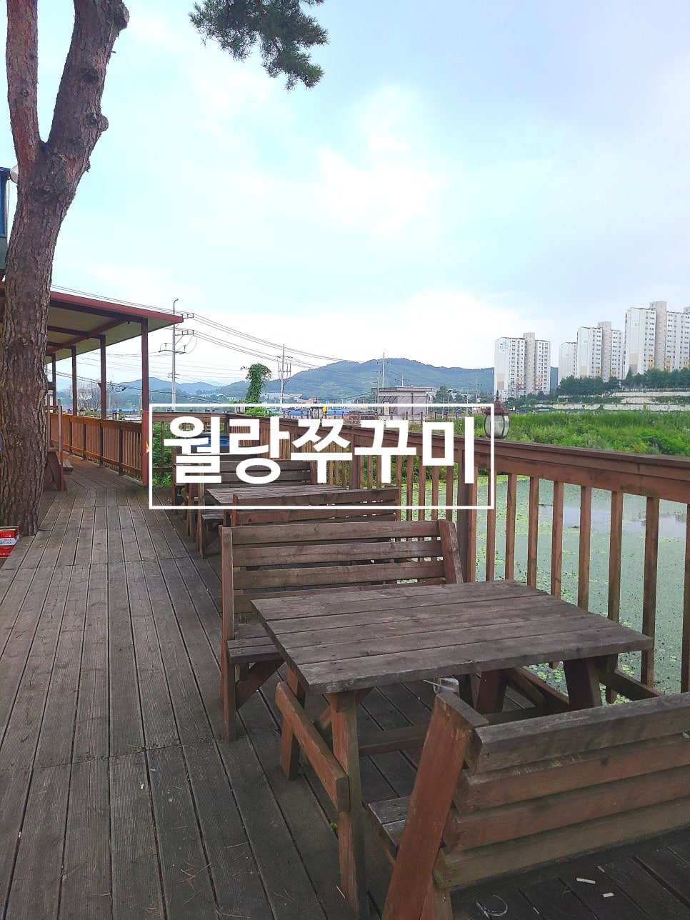 월랑쭈꾸미아산 이미지