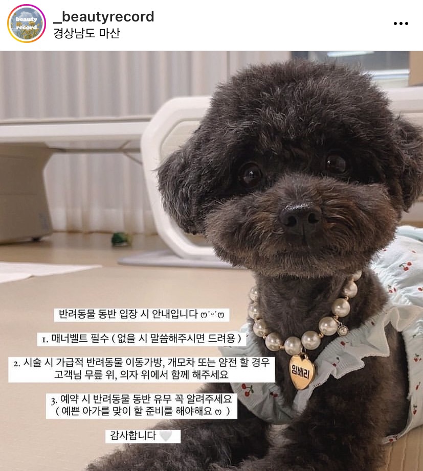 뷰티레코드 이미지