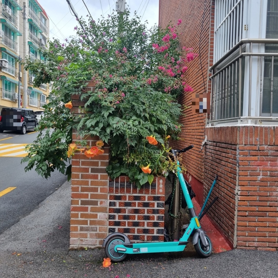 막서러횟집 이미지