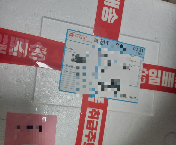 삼냥이디저트 이미지