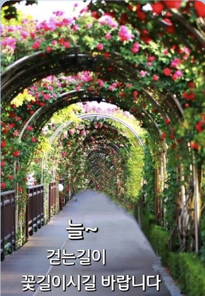 정무역 이미지