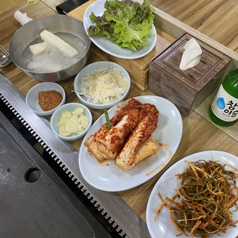 황금오리 이미지